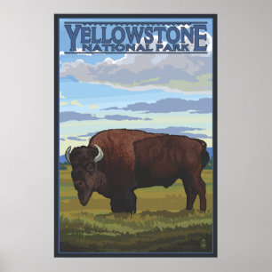 Bison Scene - nationalparken Yellowstone Poster