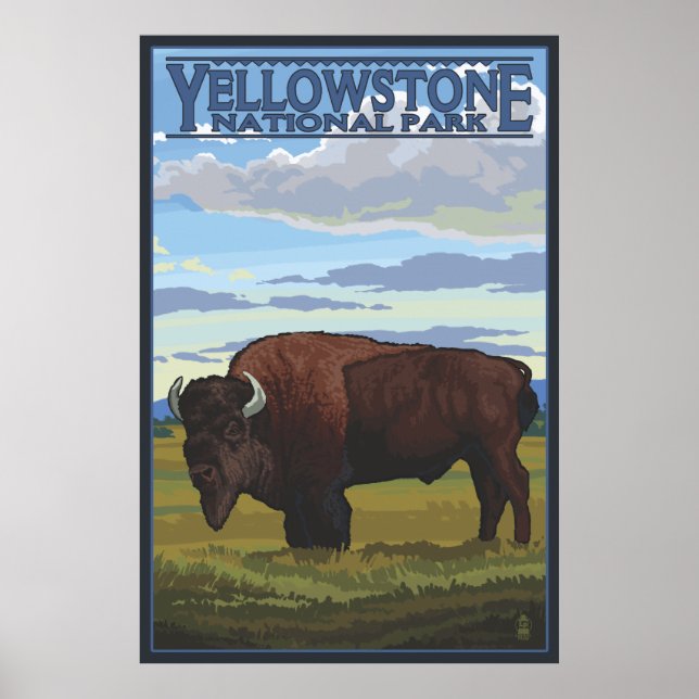Bison Scene - nationalparken Yellowstone Poster (Framsidan)