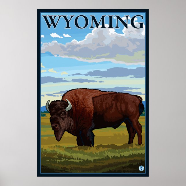 Bison Scene - Wyoming Poster (Framsidan)