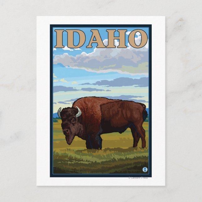 Bison SceneIdahoVintage Travel Poster Vykort (Framsida)