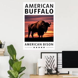Bison Silhouette vid Sunset Poster