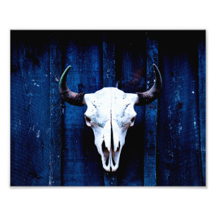 Bison Skull Fototryck