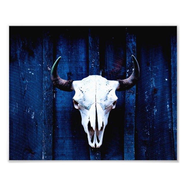 Bison Skull Fototryck (Framsidan)