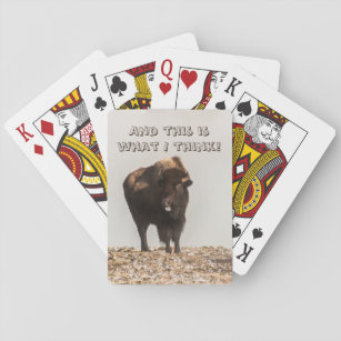Bison som håller ut sin Tunga - Humor - Lustig Casinokort