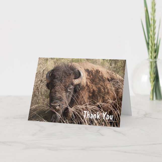 Bison tackkort (Framsida)