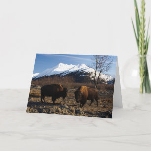 Bison Tet-a-Tet Kort