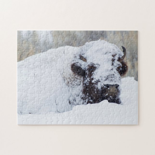 Bison-tjur, vinterdräkt pussel (Horisontell)