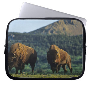 Bison-tjurar vid Waterton Lakes National Park Laptop Fodral