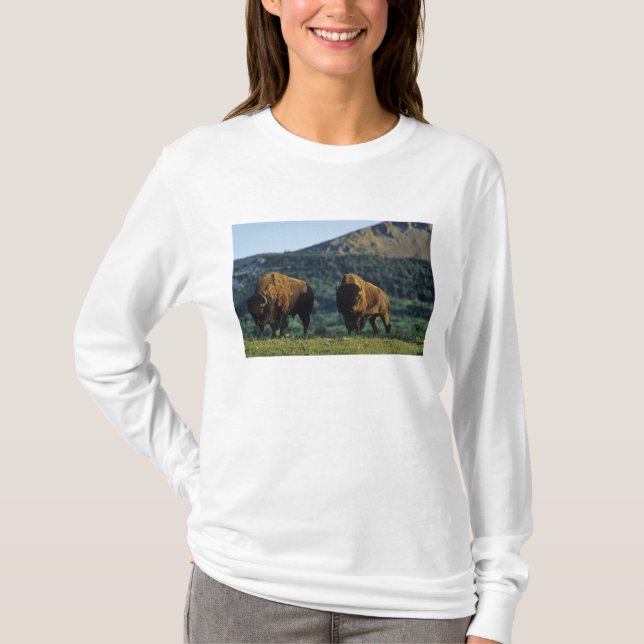 Bison-tjurar vid Waterton Lakes nationalpark T-shirt (Framsida)