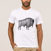Bison