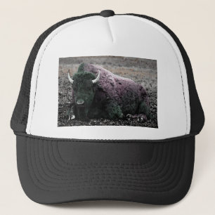 Bison Truckerkeps