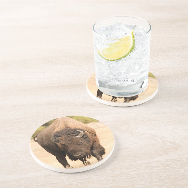 Bison Underlägg Sandsten (Sidan)