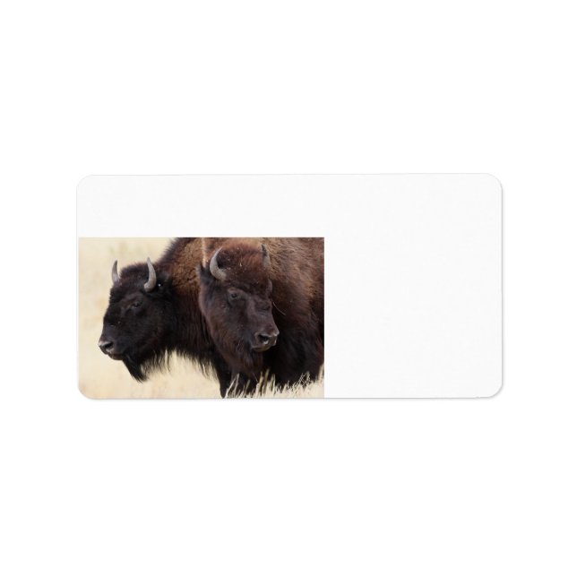 bison vänskap adressetikett (Framsidan)