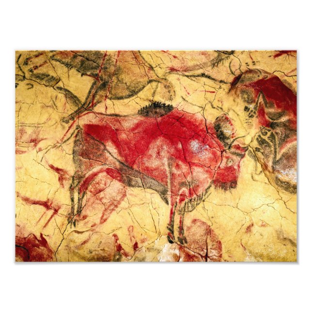 Bison vid Altamira (Spanien) | Okänd konstnär | Fototryck (Framsidan)
