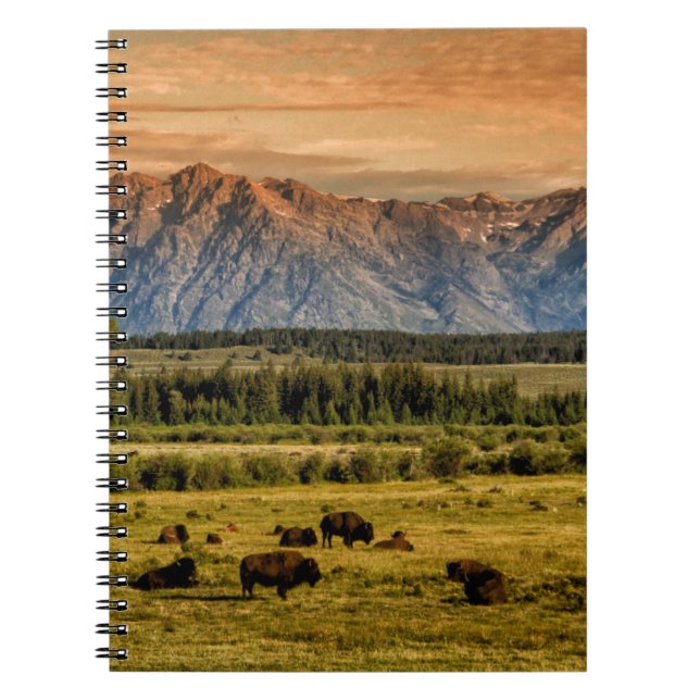 Bison vid Sunrise Anteckningsbok (Framsidan)