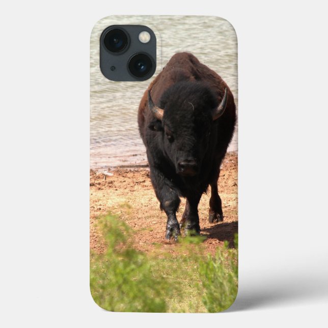 Bison vid Vatten iphone case (Baksida)