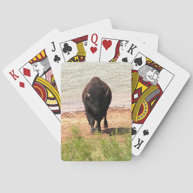 Bison vid vattnet casinokort (Baksidan)