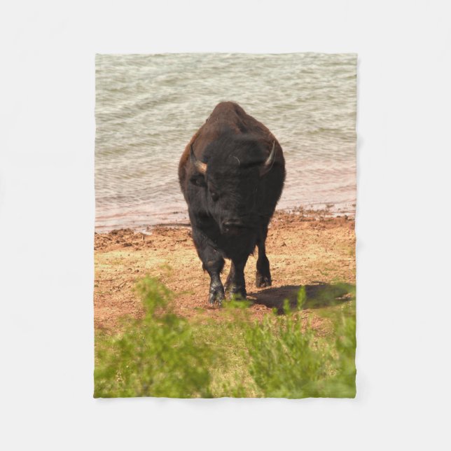 Bison vid vattnet fleecefilt (Framsidan)