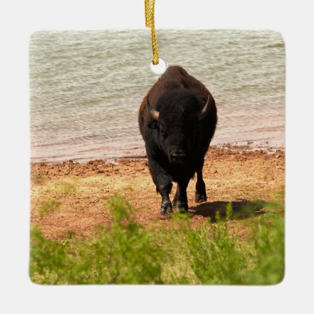 Bison vid vattnet julgransprydnad keramik (Framsida)