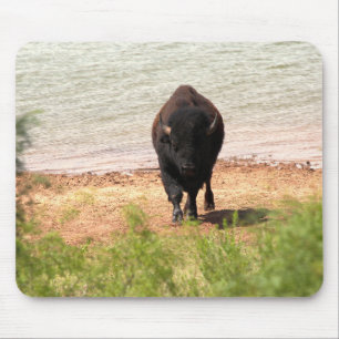 Bison vid vattnet musmatta