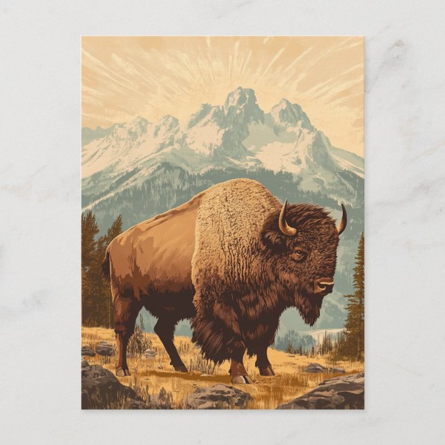 Bison Vintage Vykort (Framsida)