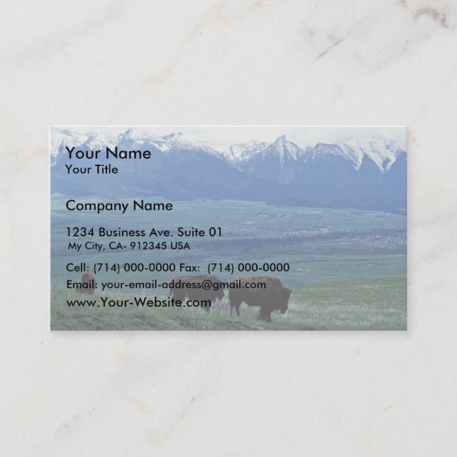 Bison Visitkort (Framsida)