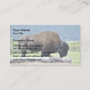 Bison Visitkort