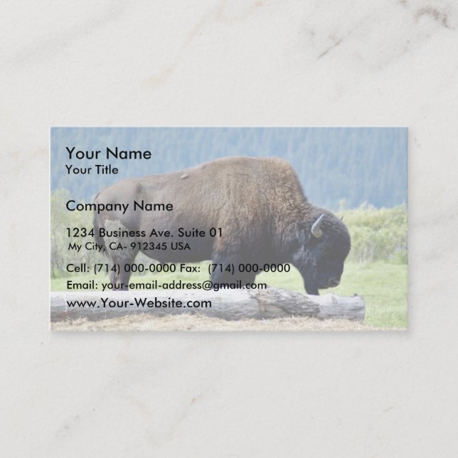 Bison Visitkort (Framsida)
