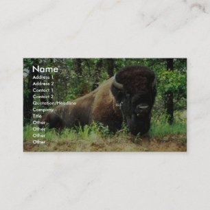 Bison Visitkort