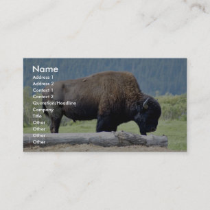 Bison Visitkort
