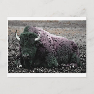 Bison Vykort