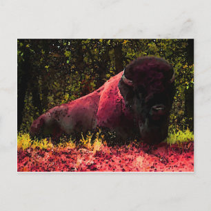 Bison Vykort