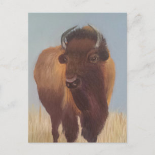 Bison Vykort