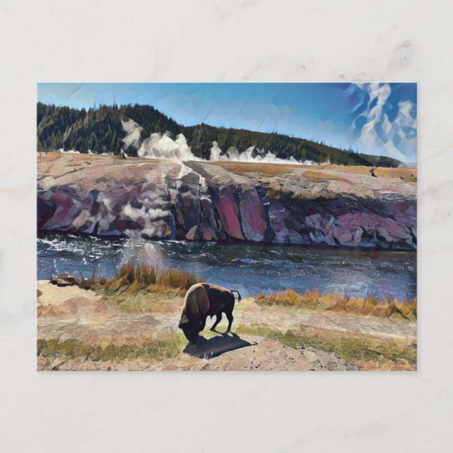 Bison Wyoming Yellowstone Wildlife Art-vykort Vykort (Framsida)