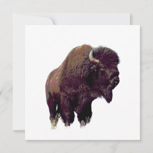 Bisonbuffel