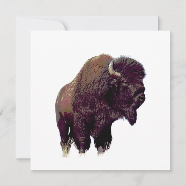 Bisonbuffel  (Framsida)