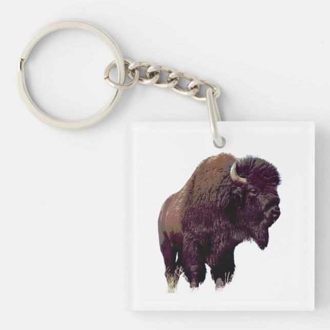 Bisonbuffel  (Framsidan)