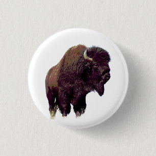 Bisonbuffel knapp