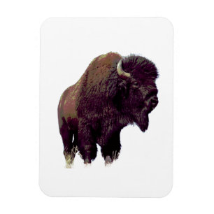 Bisonbuffel magnet