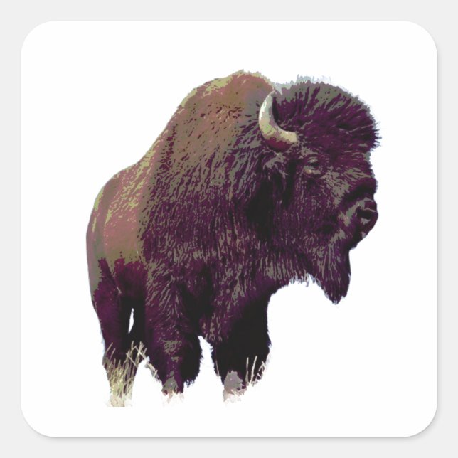 Bisonbuffelkort Fyrkantigt Klistermärke (Framsida)