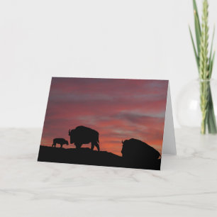 Bisonfamilj Kort