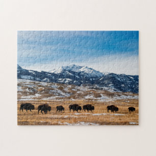 Bisonflyttning Pussel