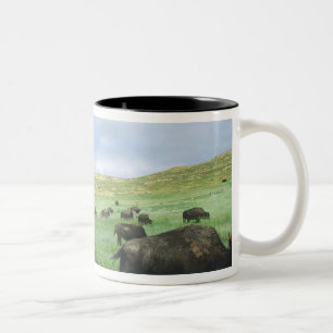 Bisonhjord betar präriens gräs vid Theodore Två-Tonad Mugg