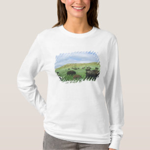 Bisonhjord betar prärieslätter vid Theodore T-shirt