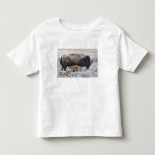 Bisonko och kalv, Yellowstone Tee