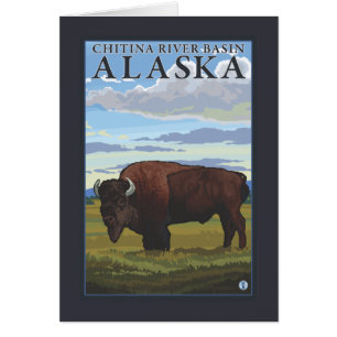 Bisonplats - Chitina flodhandfat, Alaska Hälsningskort