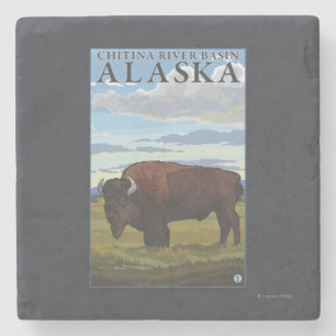Bisonplats - Chitina flodhandfat, Alaska Underlägg Sten
