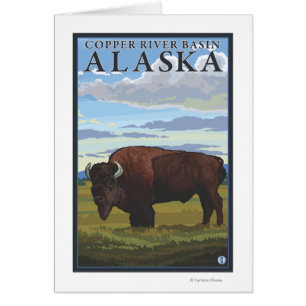 Bisonplats - Copper River handfat, Alaska Hälsningskort