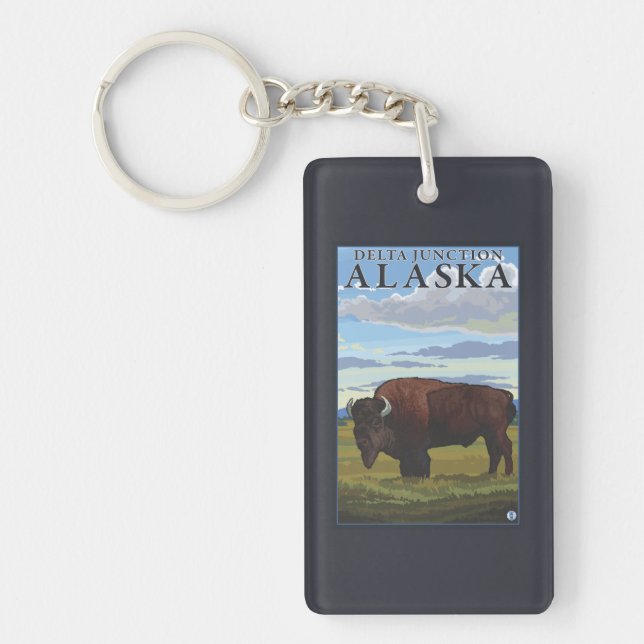 Bisonplats - deltaföreningspunkt, Alaska (Framsidan)