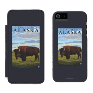 Bisonplats - deltaföreningspunkt, Alaska